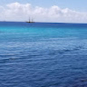 Meet your Posher, Joy